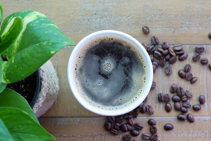 Bay Buzz Coffee & Snack Shack