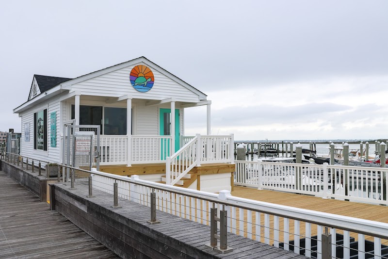 Bay Buzz Coffee & Snack Shack