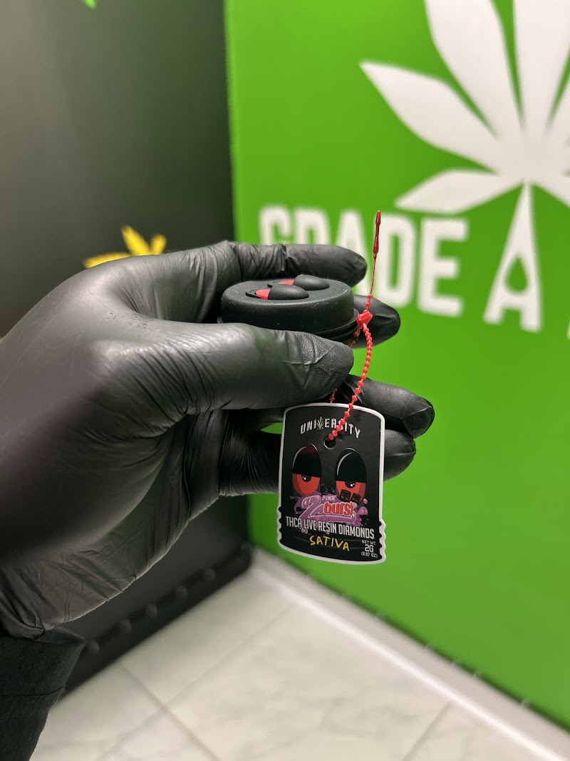 Grade A Dropouts – World Famous Coffee, Donuts & Cannabis Dispensary