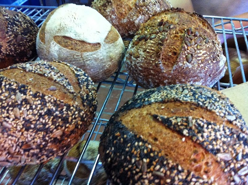 Companion Bakeshop Westside Santa Cruz