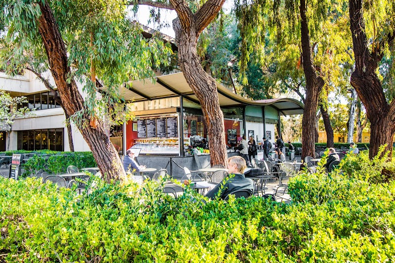 Coupa Cafe - Green Library