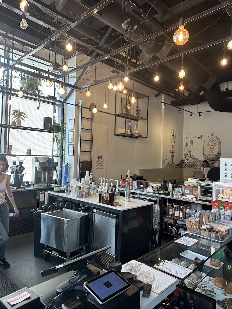 Aviano Coffee on 2nd