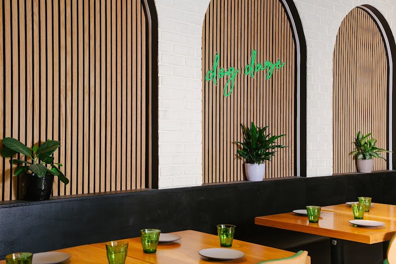 Dog Daze Social Club