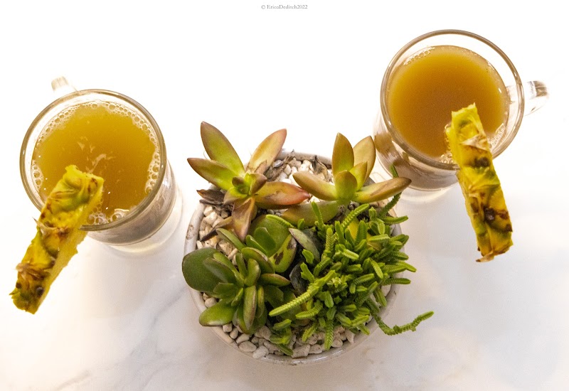 Kafe Kava - St. Augustine Kava Bar