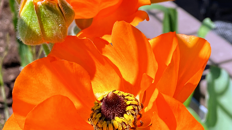 Awakening Coffee & Tap House & Brewery