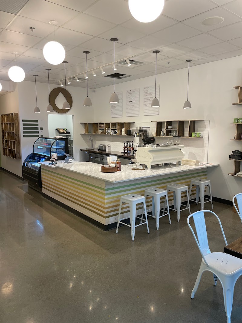 Convive Coffee Roastery