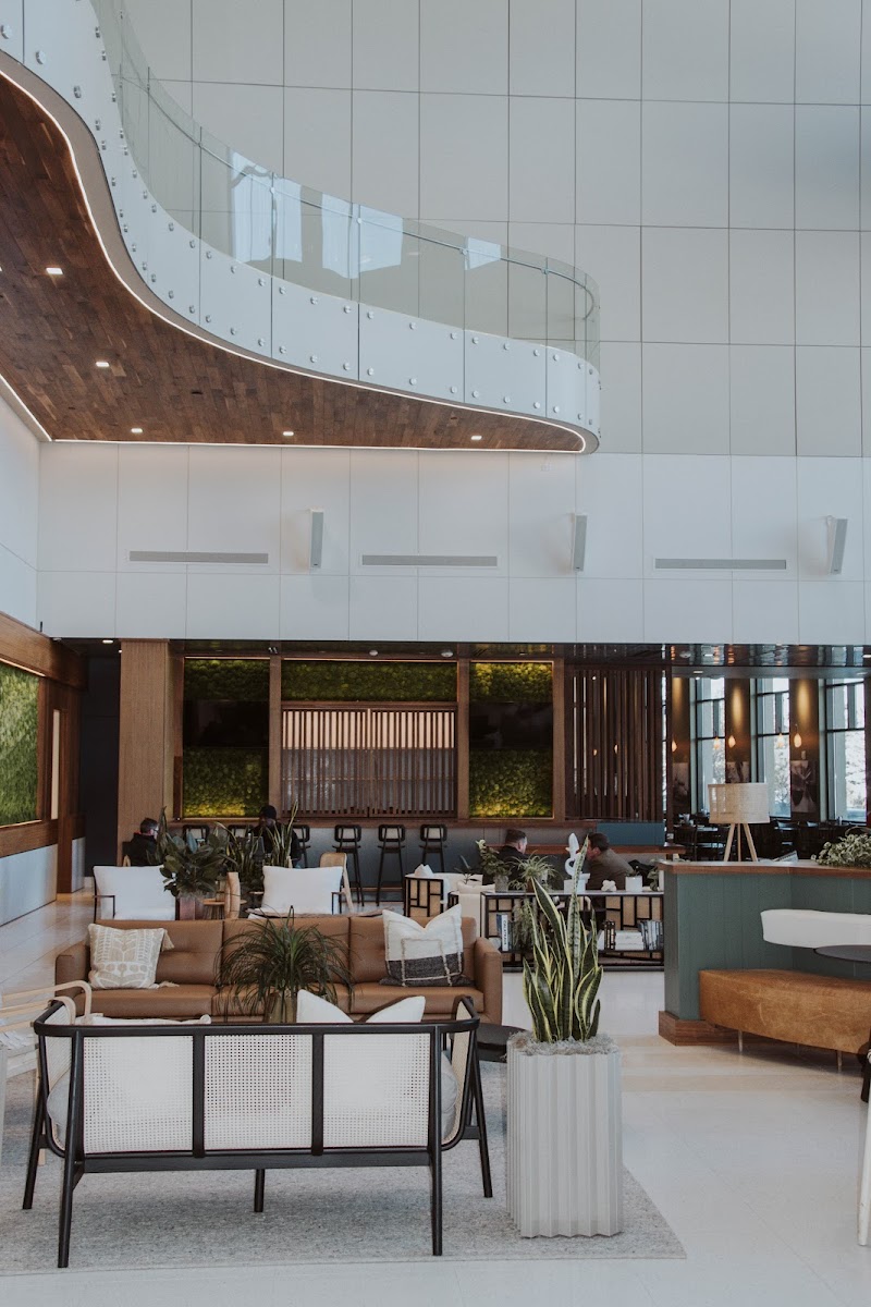 Vibe Coffee and Wine