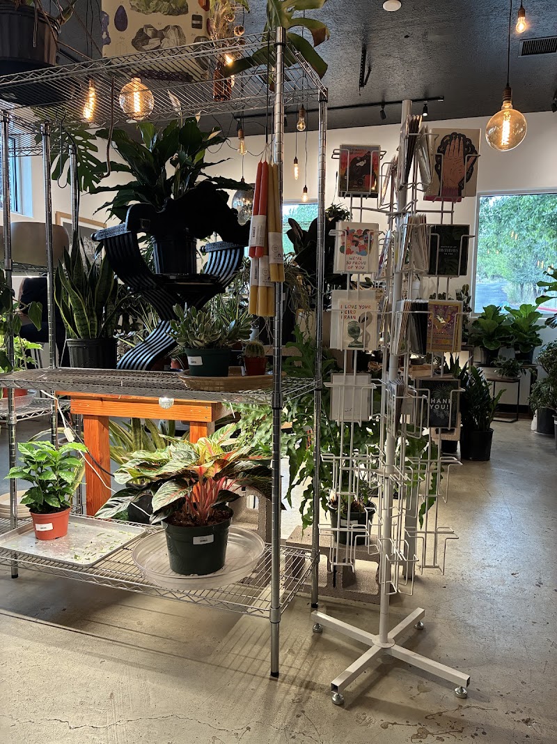 Still Life Coffee & Botanicals