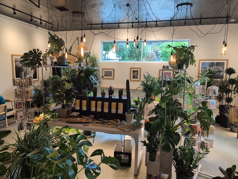 Still Life Coffee & Botanicals