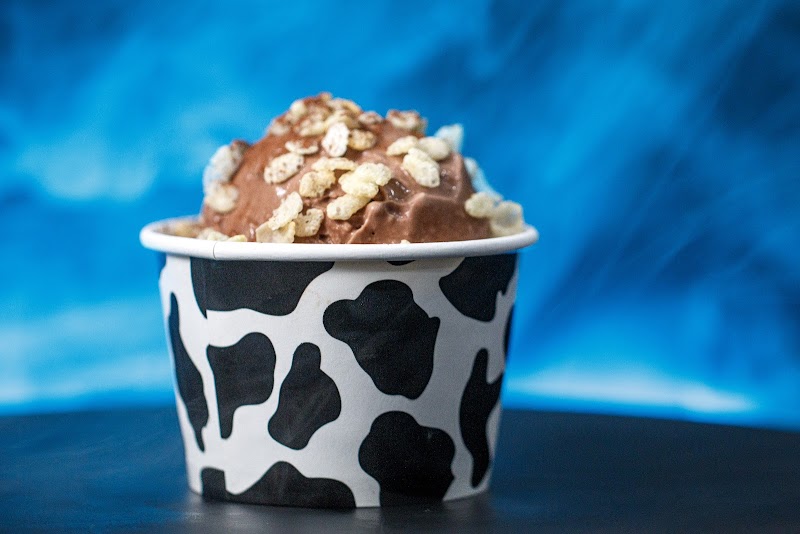 Milkster Nitrogen Creamery + Coffee