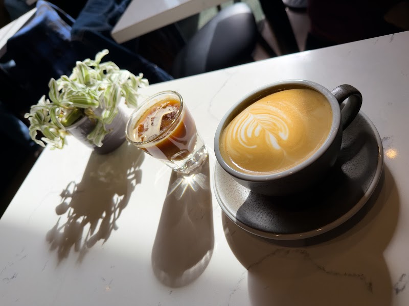 JACOB ALEJANDRO - Albany