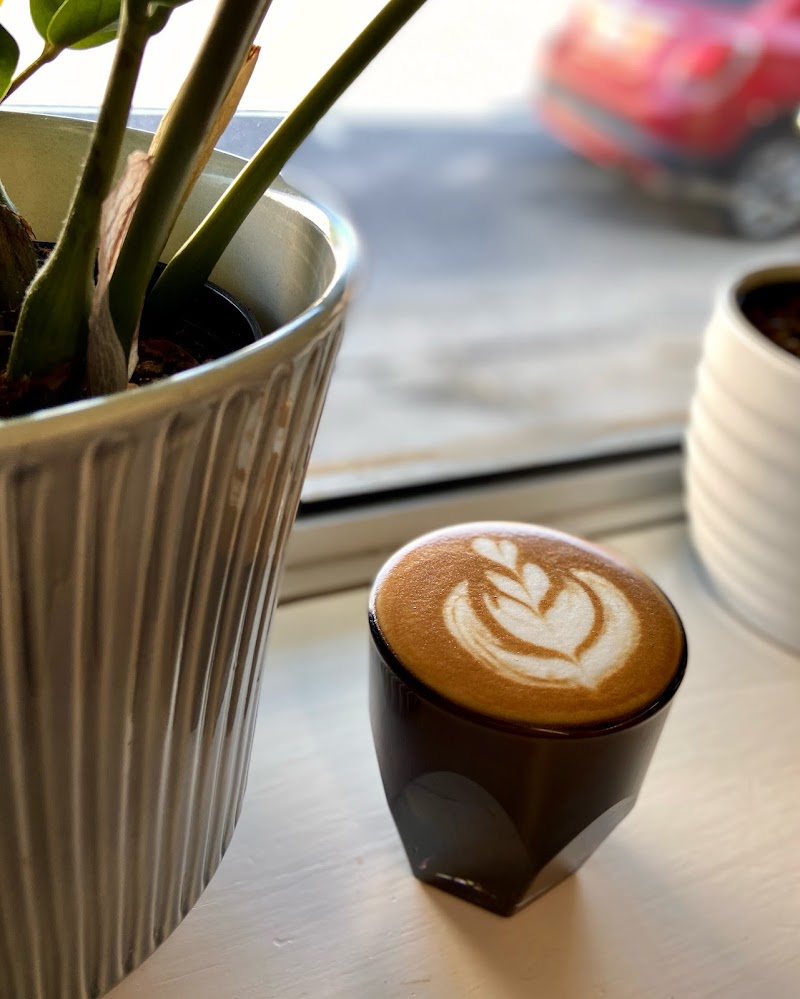 Seventh Square Coffee