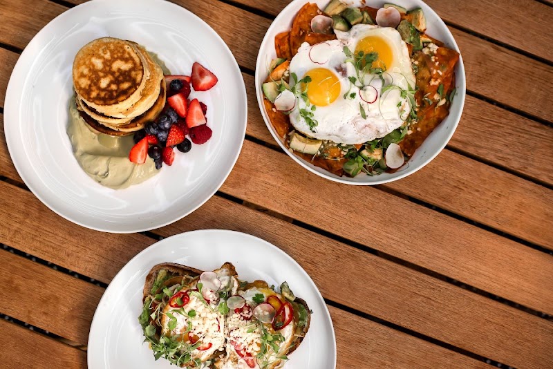 Juniper - Greenville