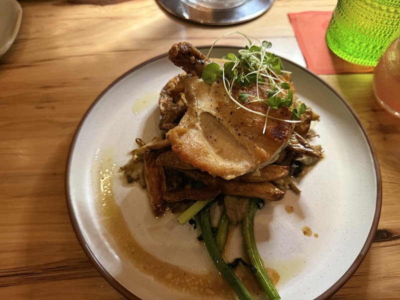 Juniper - Greenville