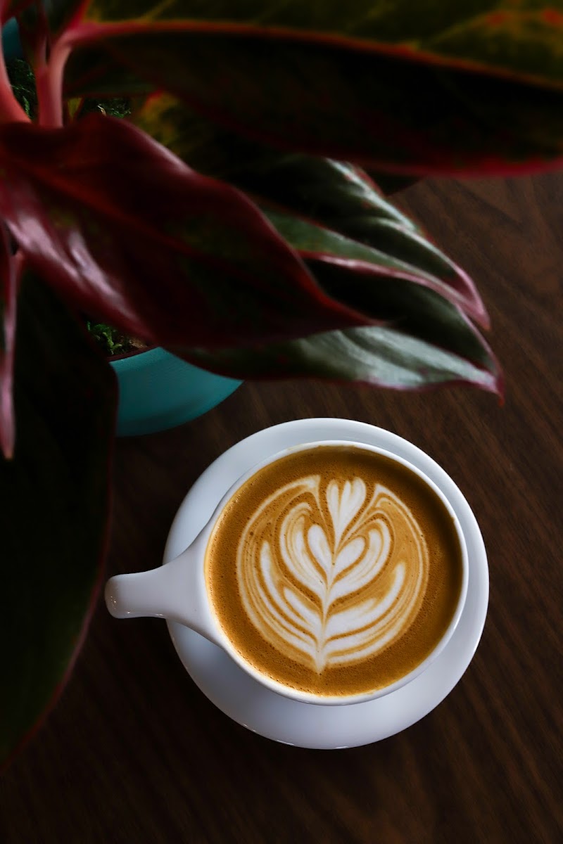 Kekoa Brew Co. Coffee Roasters