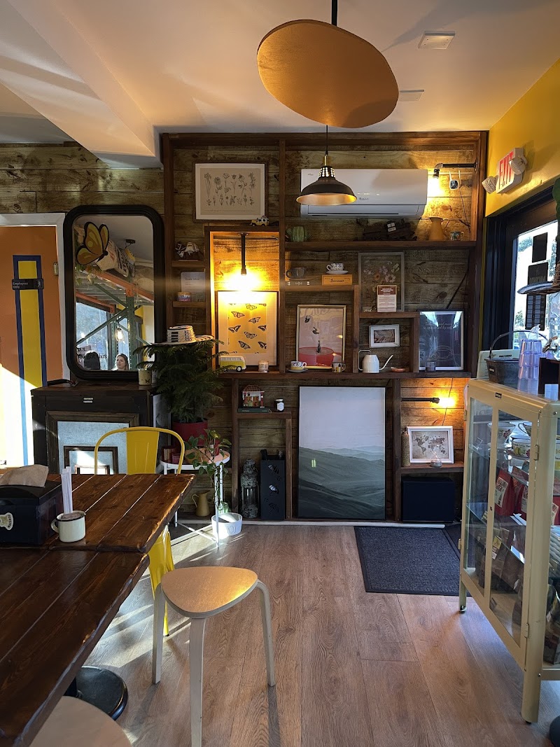 Macondo Coffee Roasters Little Havana Calle 8