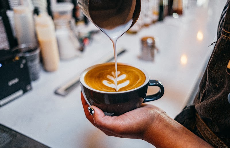 Foxtail Coffee - Carrollwood