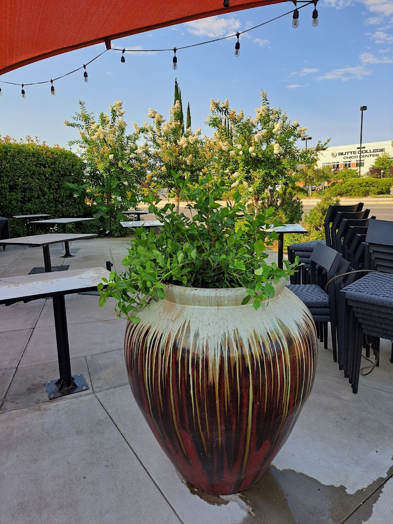 Tea Bar & Fusion Kitchen - Chico Forest Avenue