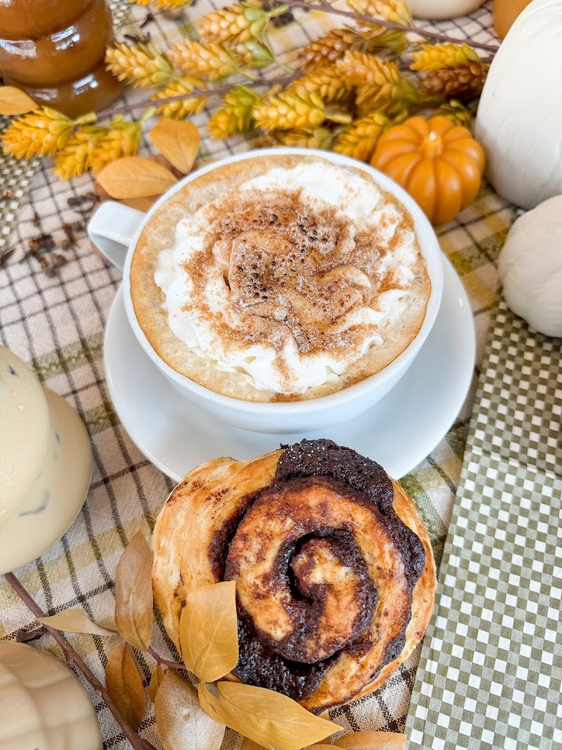 Rooted Coffeehouse Downtown