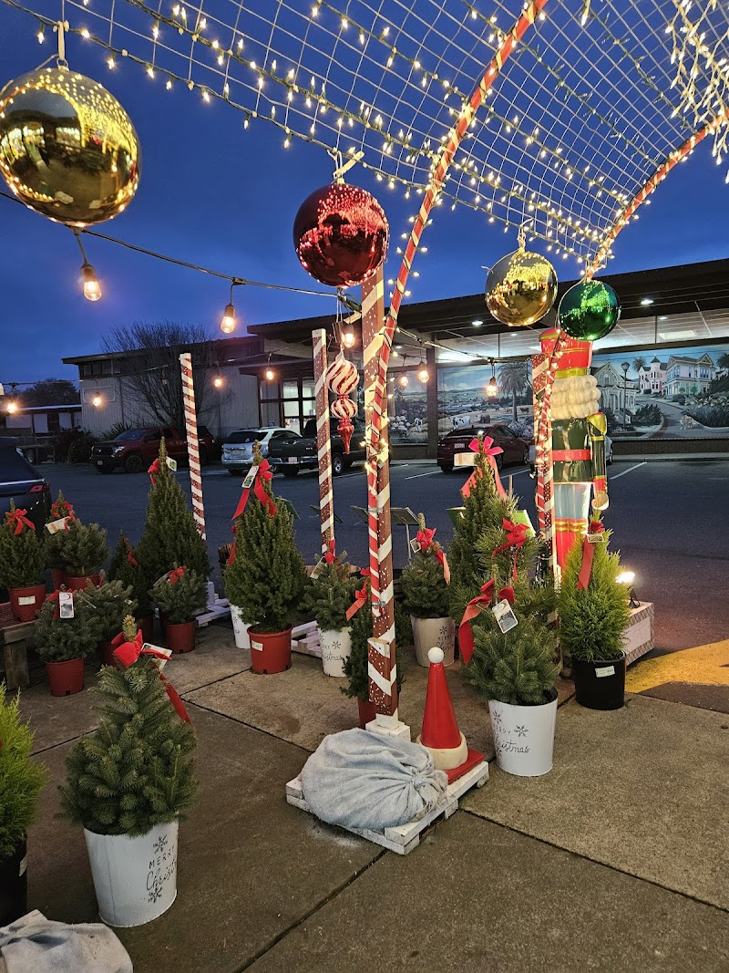 Ramone's Bakery & Cafe