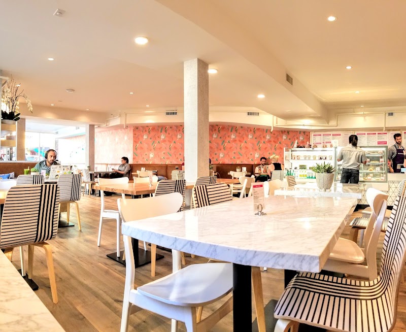 Parakeet Cafe - Little Italy