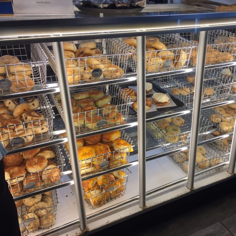 The Bagel Co
