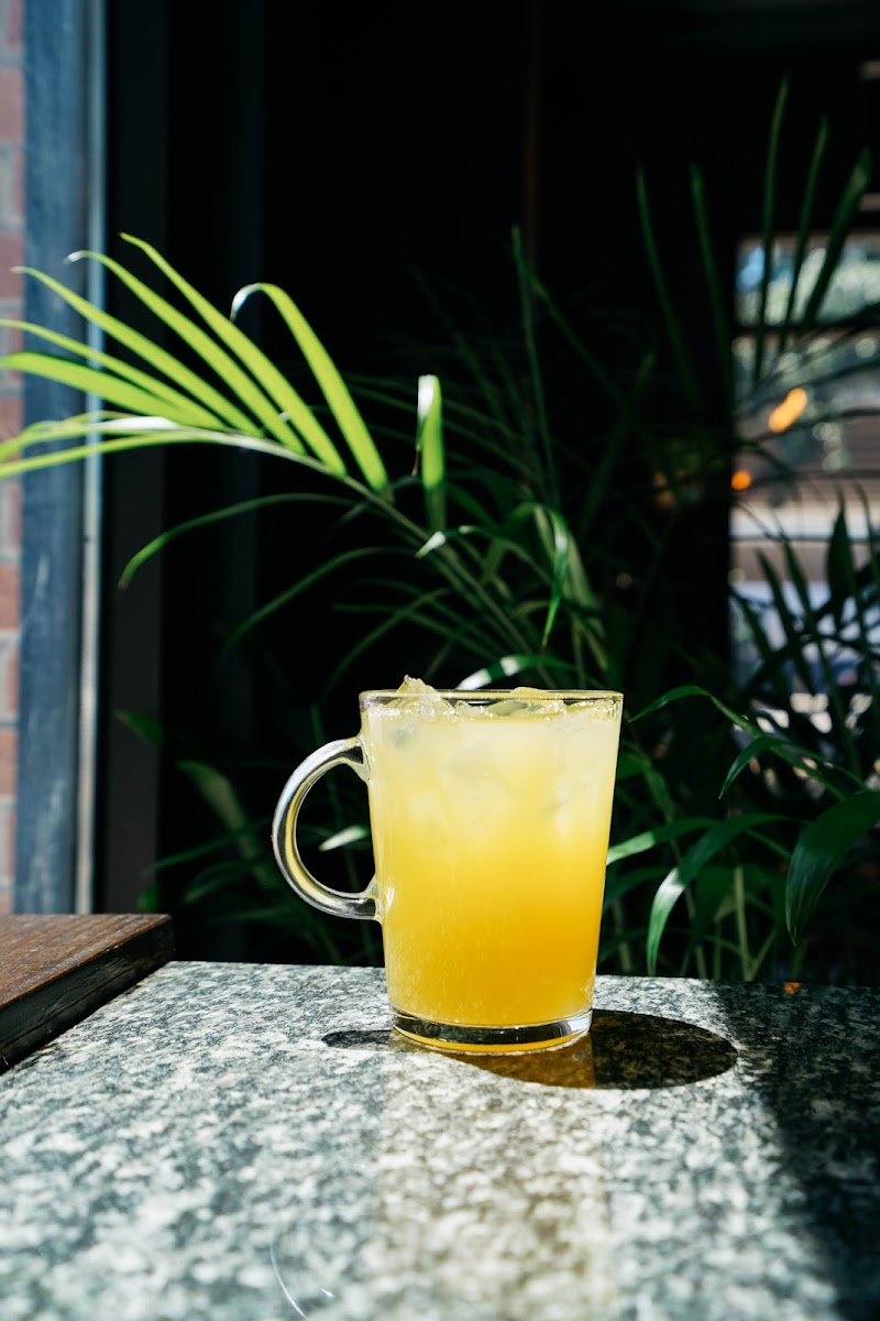 The Under Grounds Coffee Co