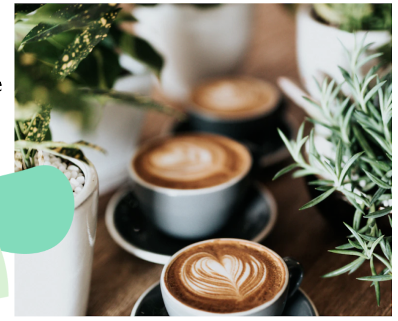 The Ground Coffee, Plants & Gifts