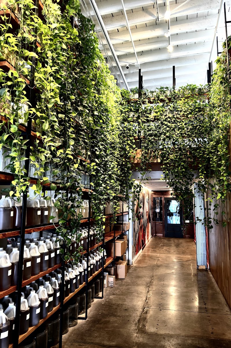 Onyx Coffee Lab - Rogers HQ