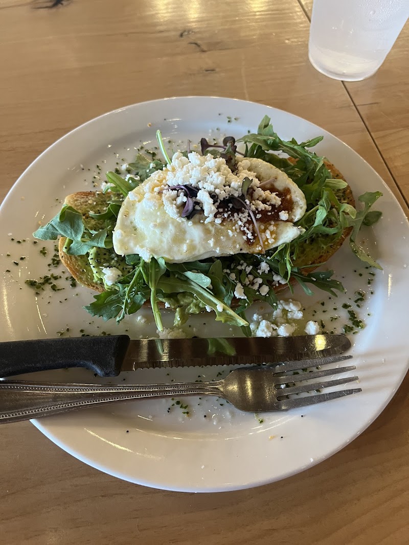 The Rogue Roundabout