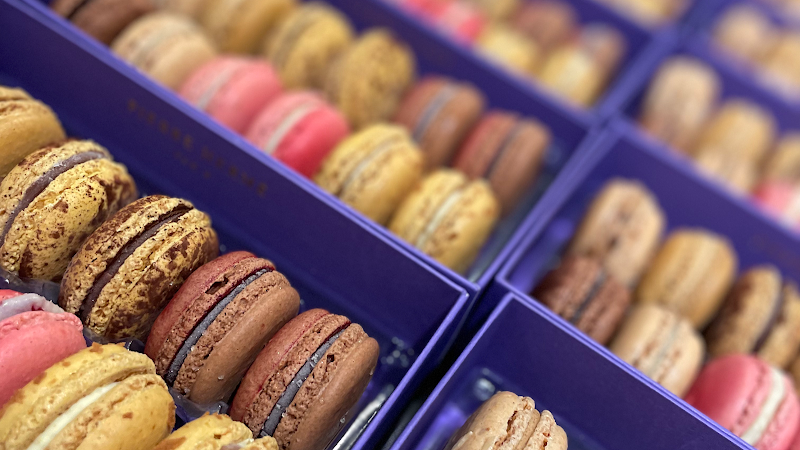 L'Experience Paris - Bellevue