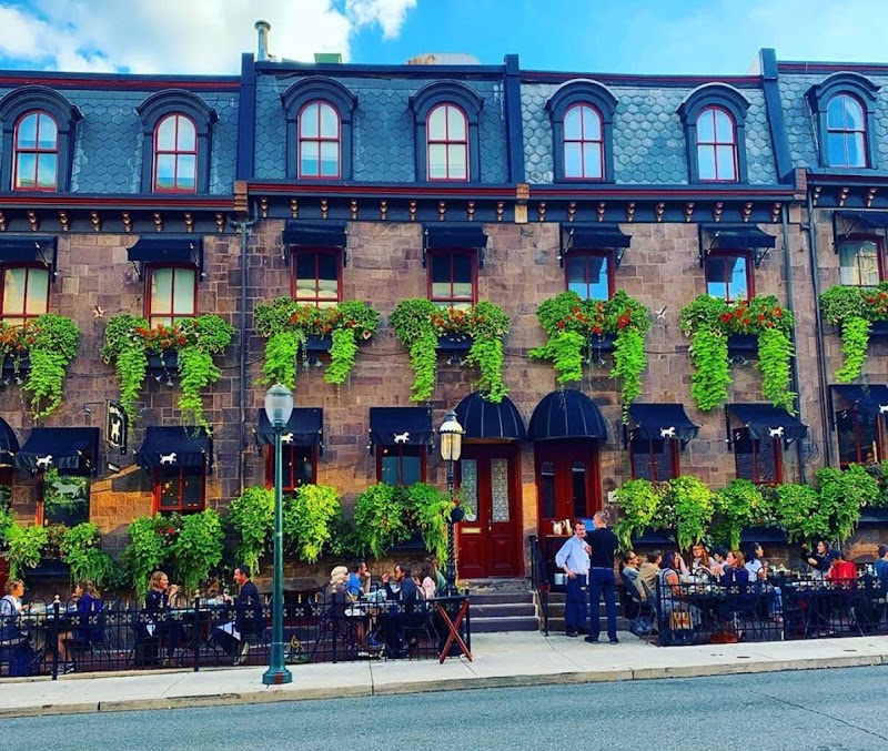 White Dog Cafe - University City