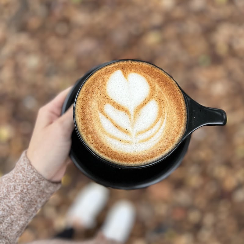 Wooden Robot Coffee Bar