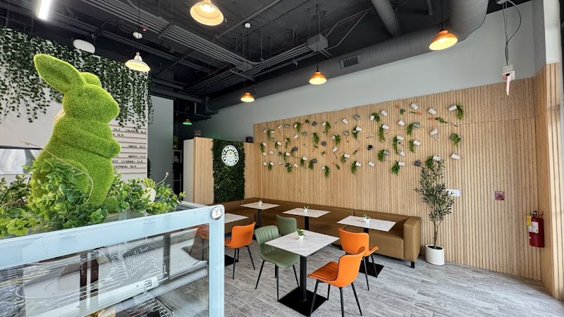 Fluffy Bunny - Coffee shop