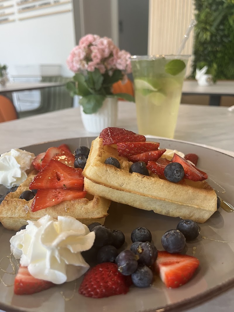 Fluffy Bunny - Coffee shop