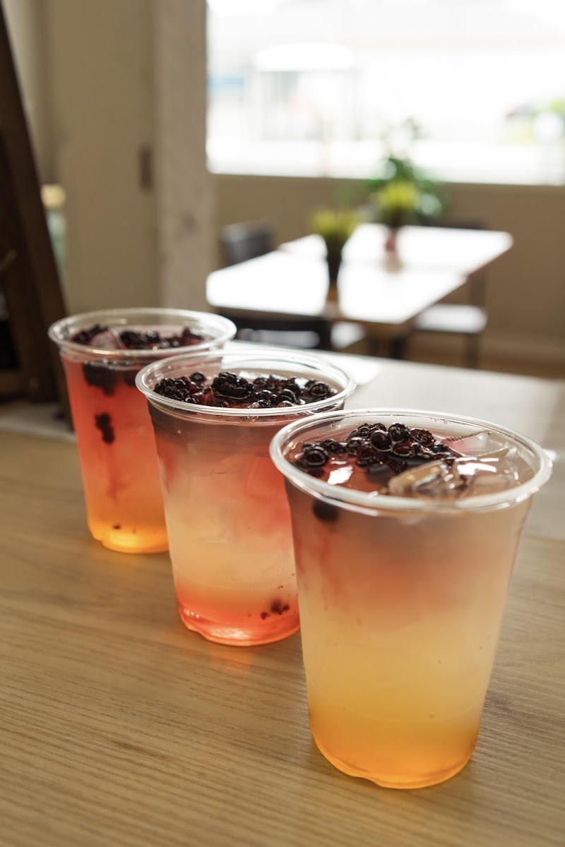 MI CAFECITO SPOT LLC