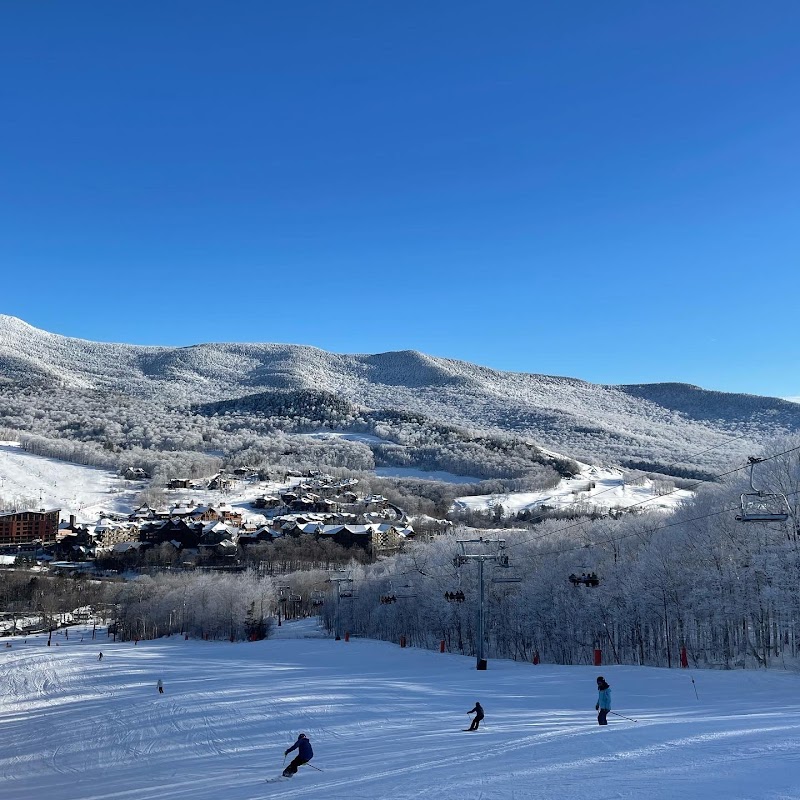 Octagon Café & Gallery