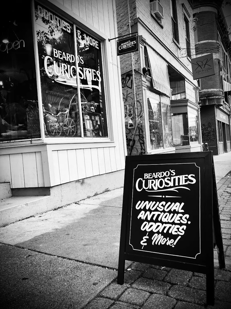 Beardo’s Curiosities