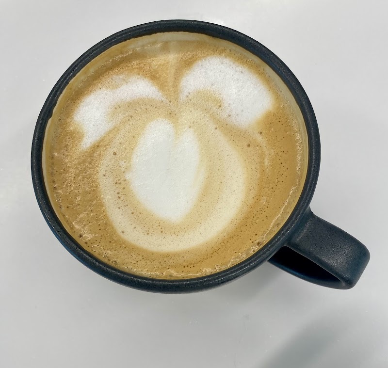 The Kookaburra Nocatee