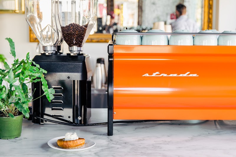 The Clover and the Bee