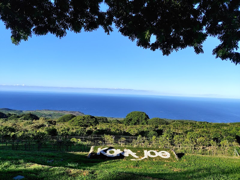 Kona Joe Coffee LLC