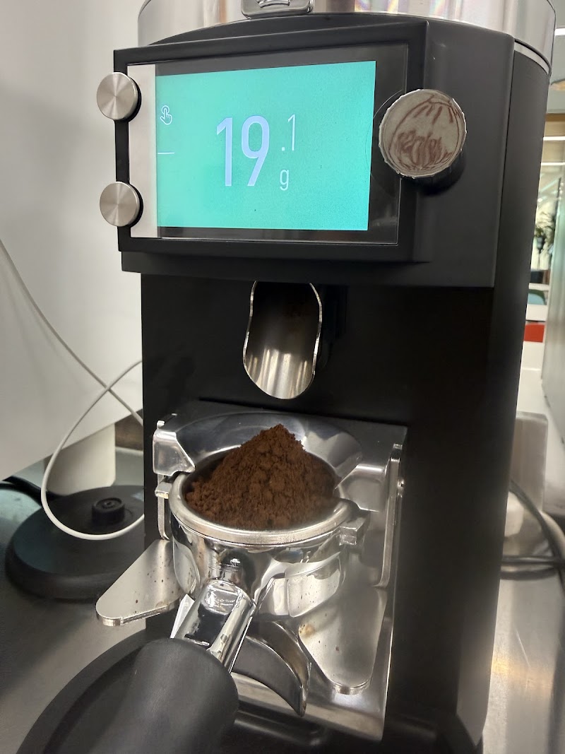 Curiosity at the Library