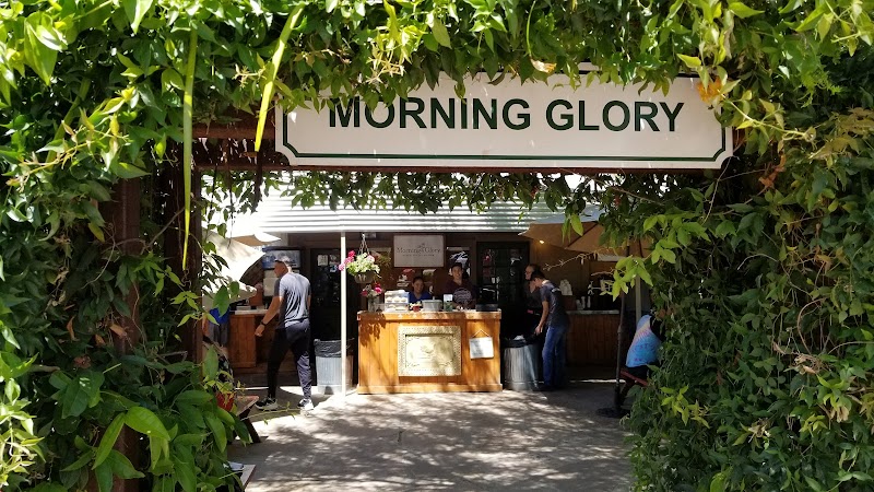 Morning Glory Cafe