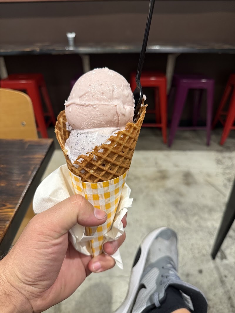 Little Calf- Scoop Shop