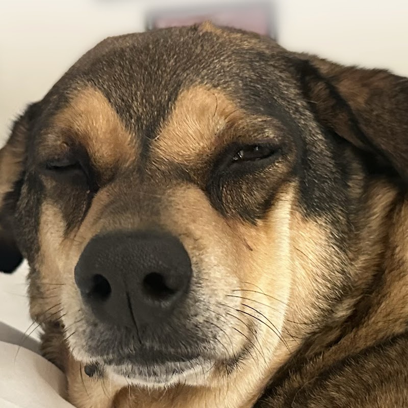 yellowbird coffee bar