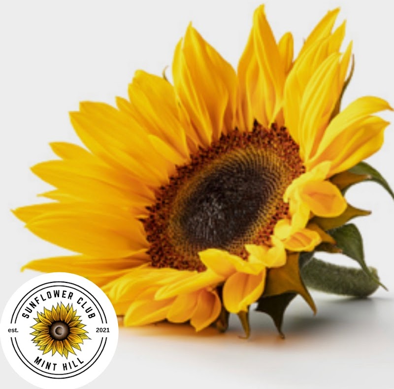 Sunflower Club Cafe & Outreach