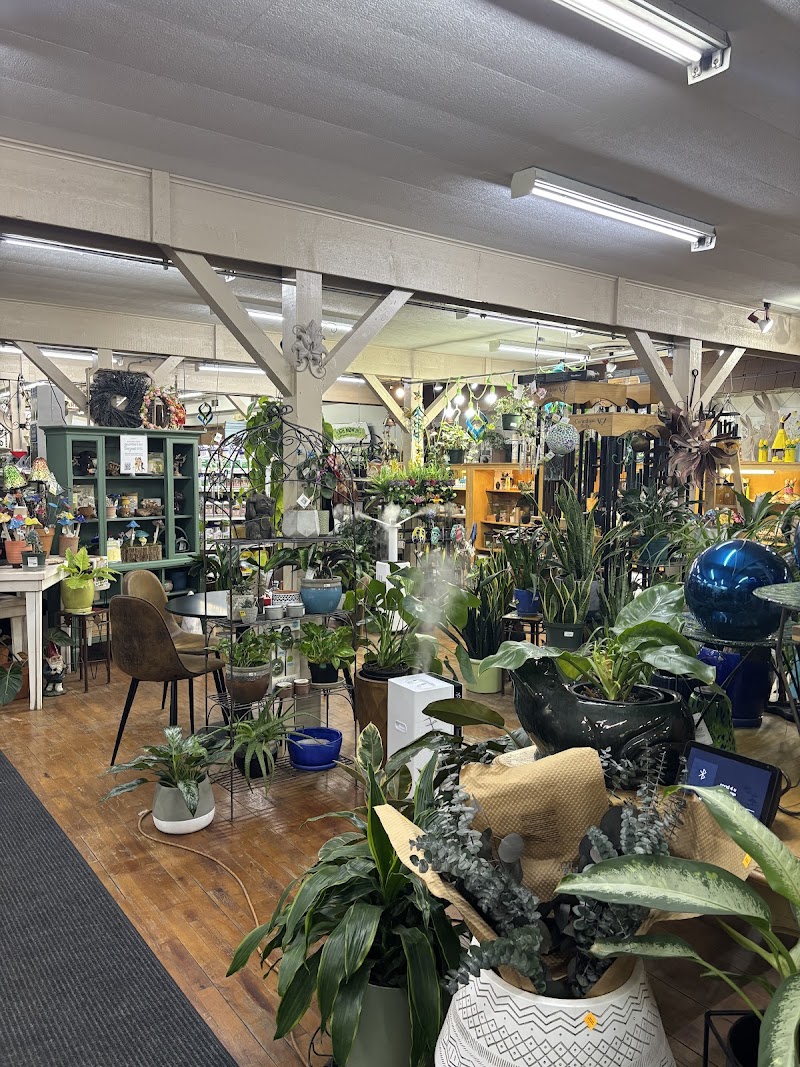 Feathered Saddle Coffee