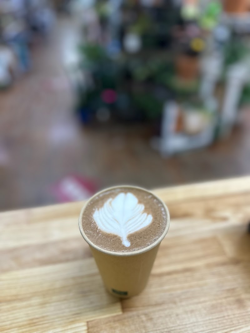 Feathered Saddle Coffee