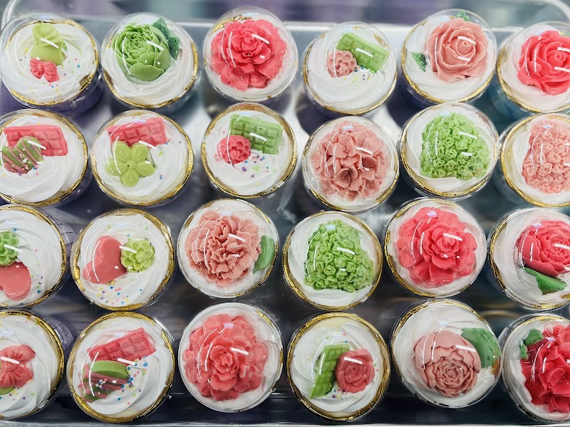 Sugar Llamas - Shelton