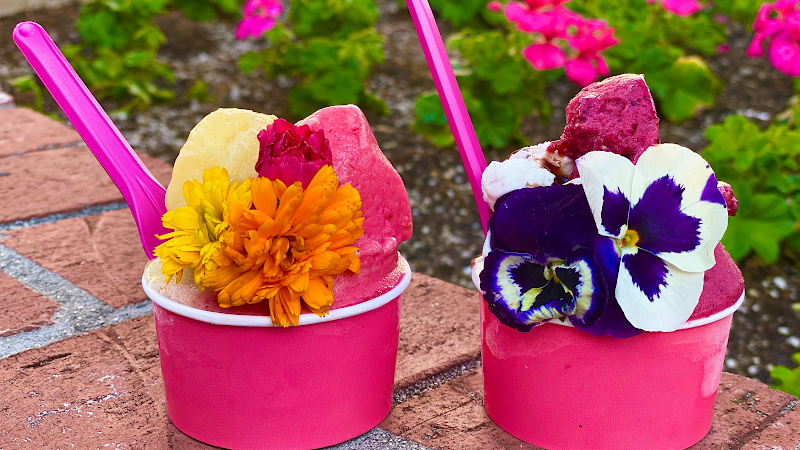 GelatoLove Carlsbad Village